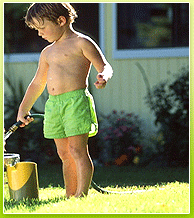 index 30 index 30 Benvenuti sul nostro sito di giardinaggio a Roma!